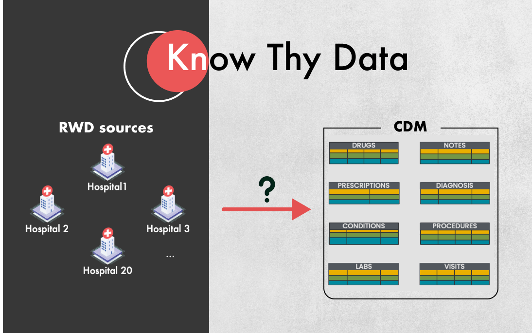 Know Thy Data: Trusting RWD in Common Data Models for Regulatory Submissions